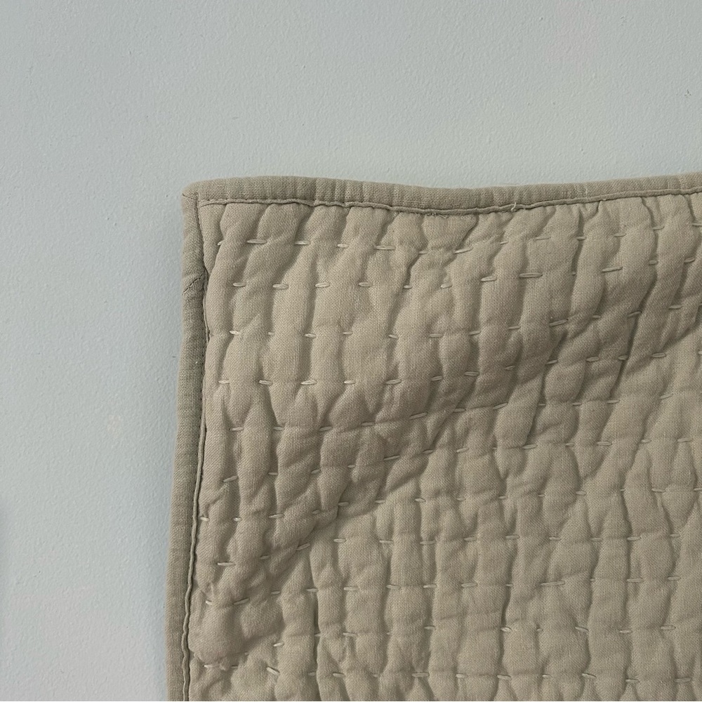 Pottery barn euro sham